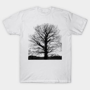 Black tree empty  in winter T-Shirt